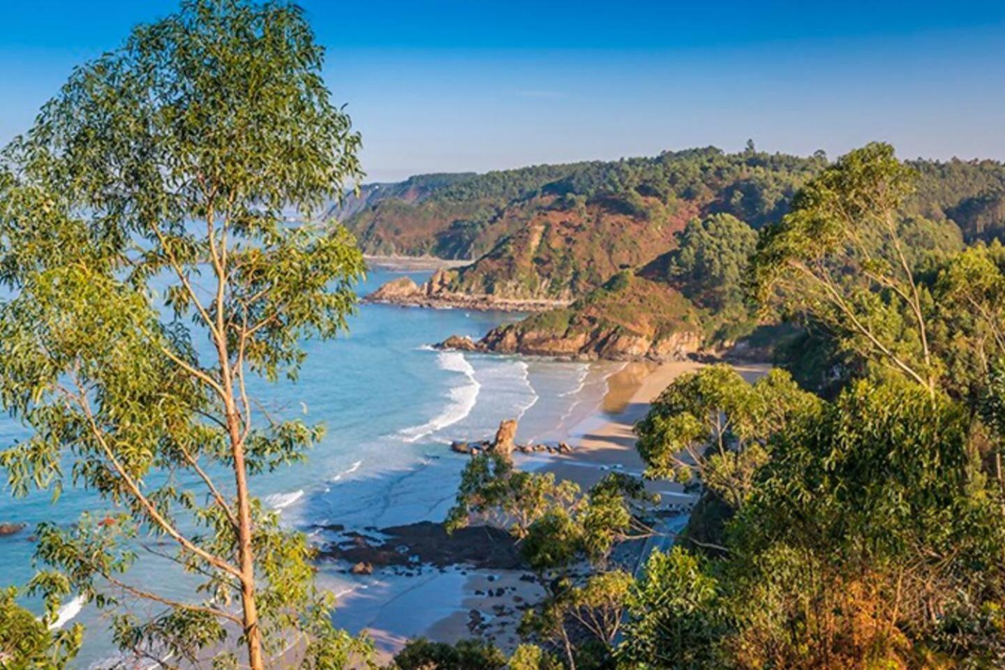 Casa La Palomba Nature 쿠딜레로 객실 사진