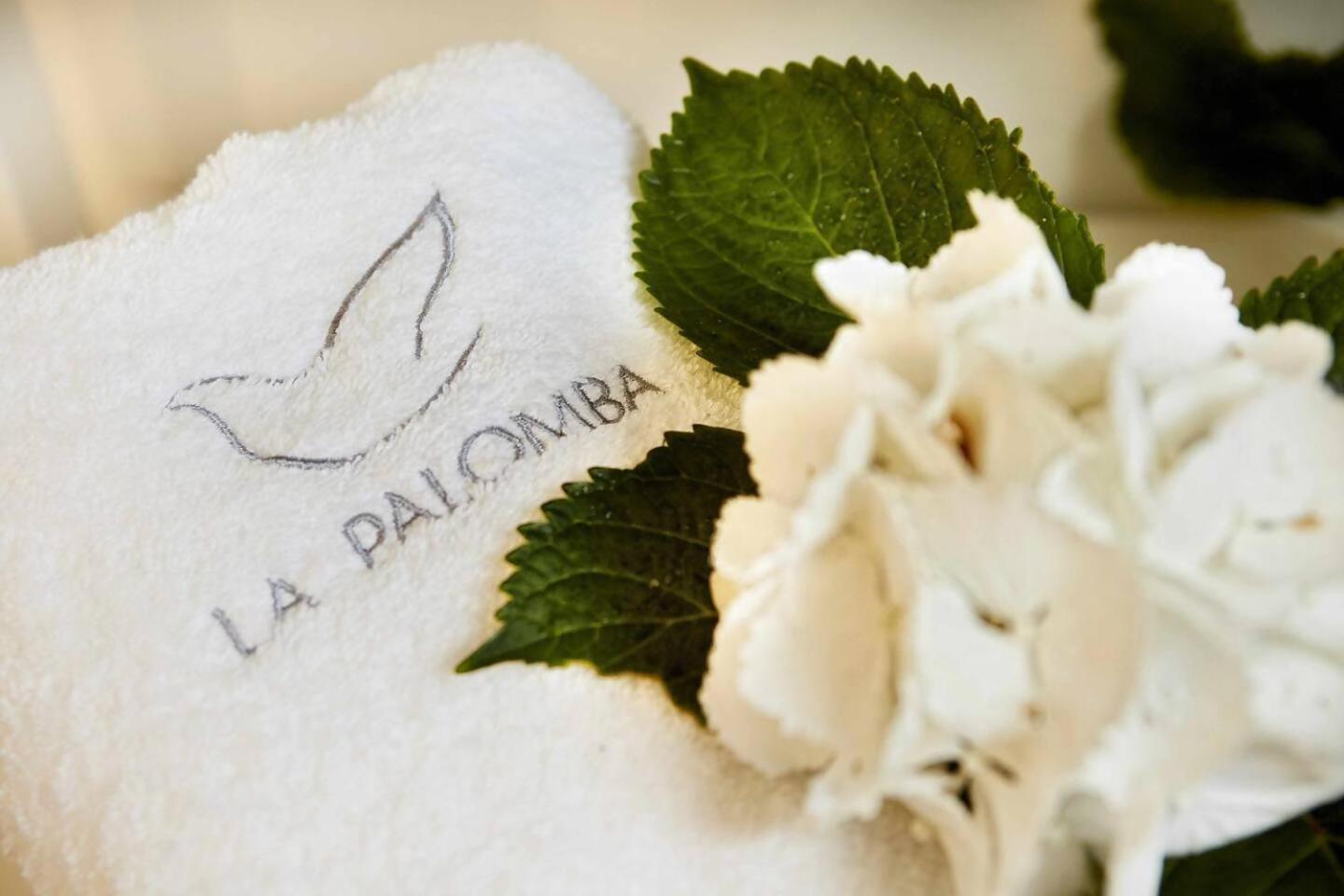 Casa La Palomba Nature 쿠딜레로 객실 사진